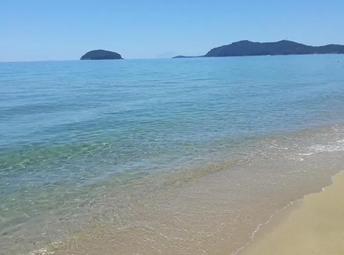 Spyros PalaiónTsiflíkion